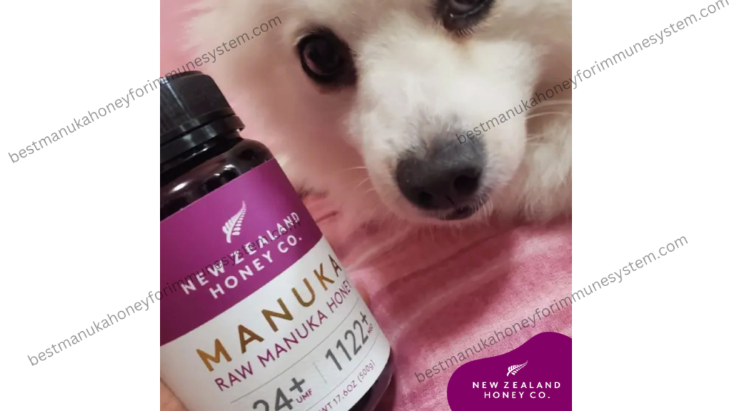 Can Manuka Honey Be Used as a Pet Supplement?