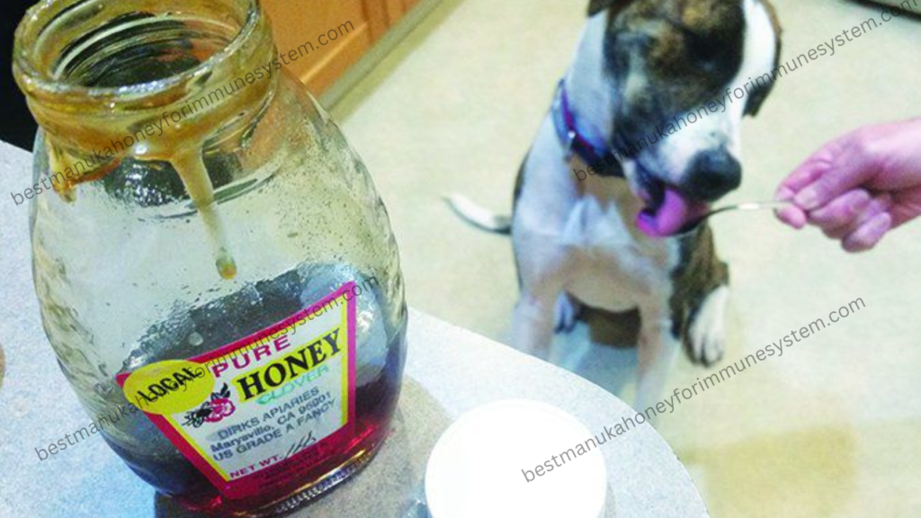 Manuka Honey Be Used as a Pet Supplement?