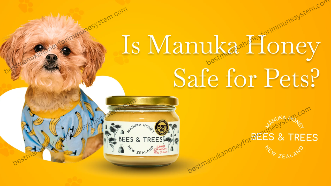 Can Manuka Honey Be Used as a Pet Supplement