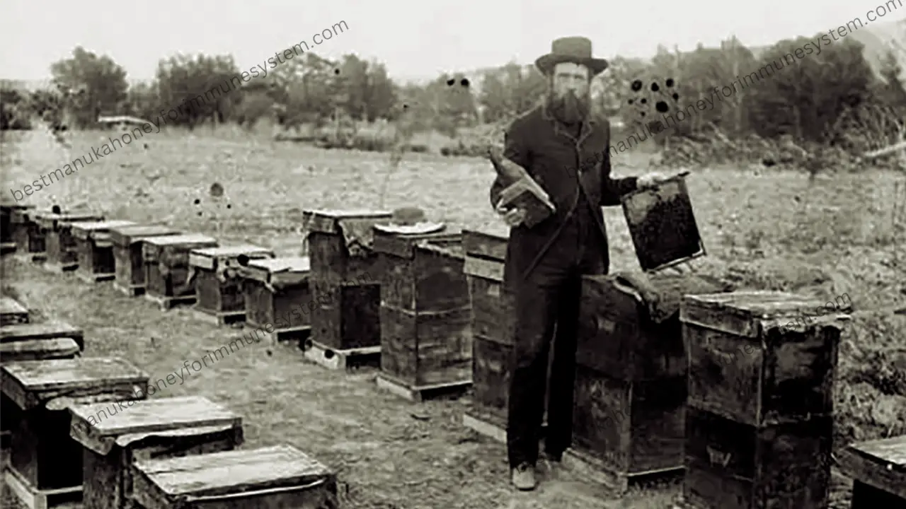 WHO INVENTED BEEKEEPING?